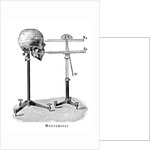 Goniometer measuring human skull by Anonymous