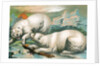 Two polar bears fighting over seal by Anonymous