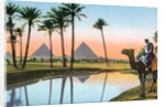 Man on a camel viewing the Pyramids of Giza by Anonymous