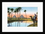 Man on a camel viewing the Pyramids of Giza by Anonymous
