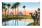 Man on a camel viewing the Pyramids of Giza by Anonymous