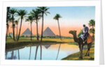 Man on a camel viewing the Pyramids of Giza by Anonymous