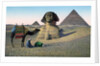 Men praying to Mecca in front of the Sphinx and pyramids by Anonymous