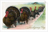 Thanksgiving turkeys marching in line by Anonymous