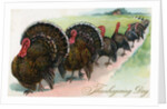 Thanksgiving turkeys marching in line by Anonymous