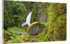 Tanner Creek Falls, Columbia River Gorge National Scenic Ates, Oregon by Anonymous