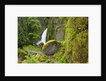 Tanner Creek Falls, Columbia River Gorge National Scenic Ates, Oregon by Anonymous