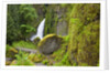 Tanner Creek Falls, Columbia River Gorge National Scenic Ates, Oregon by Anonymous