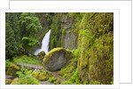 Tanner Creek Falls, Columbia River Gorge National Scenic Ates, Oregon by Anonymous