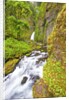 Tanner Creek Falls, Columbia River Gorge National Scenic Ates, Oregon by Anonymous