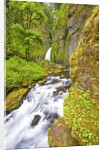 Tanner Creek Falls, Columbia River Gorge National Scenic Ates, Oregon by Anonymous