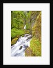 Tanner Creek Falls, Columbia River Gorge National Scenic Ates, Oregon by Anonymous