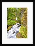Tanner Creek Falls, Columbia River Gorge National Scenic Ates, Oregon by Anonymous