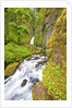 Tanner Creek Falls, Columbia River Gorge National Scenic Ates, Oregon by Anonymous