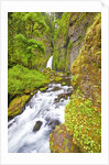 Tanner Creek Falls, Columbia River Gorge National Scenic Ates, Oregon by Anonymous