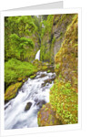 Tanner Creek Falls, Columbia River Gorge National Scenic Ates, Oregon by Anonymous