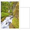 Tanner Creek Falls, Columbia River Gorge National Scenic Ates, Oregon by Anonymous