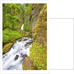 Tanner Creek Falls, Columbia River Gorge National Scenic Ates, Oregon by Anonymous