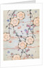 Woodblock print of lanterns in a blooming cherry tree by Anonymous