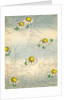 Woodblock print of daisy blossoms and grass by Anonymous