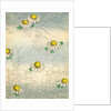 Woodblock print of daisy blossoms and grass by Anonymous
