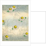 Woodblock print of daisy blossoms and grass by Anonymous