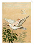 Fairy riding a white dove by Anonymous