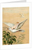 Fairy riding a white dove by Anonymous