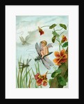 Winged fairy riding a dragonfly near nasturtium blooms by Anonymous