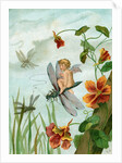 Winged fairy riding a dragonfly near nasturtium blooms by Anonymous