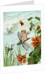 Winged fairy riding a dragonfly near nasturtium blooms by Anonymous