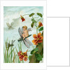 Winged fairy riding a dragonfly near nasturtium blooms by Anonymous