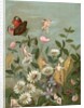 Fairies frollicking among daisies and a butterfly by Anonymous
