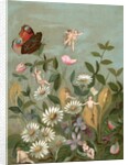 Fairies frollicking among daisies and a butterfly by Anonymous