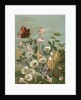 Fairies frollicking among daisies and a butterfly by Anonymous