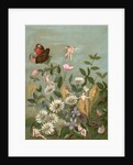 Fairies frollicking among daisies and a butterfly by Anonymous