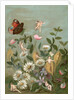 Fairies frollicking among daisies and a butterfly by Anonymous