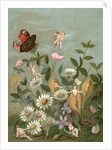 Fairies frollicking among daisies and a butterfly by Anonymous