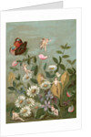 Fairies frollicking among daisies and a butterfly by Anonymous