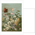 Fairies frollicking among daisies and a butterfly by Anonymous