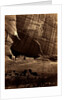 Ancient Ruins in the Canon de Chelle, N.M. by Anonymous