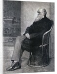 Portrait of Charles Darwin by Anonymous