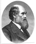 Portrait of Charles Darwin from The Origin of Species by Anonymous