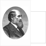 Portrait of Charles Darwin from The Origin of Species by Anonymous