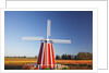 tulips field, Wooden Shoe Tulip Farm, Woodburn Oregon. have property release. by Anonymous