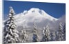 winter snow adds beauty to Mt. Hood, Oregon. Oregon Cascades. by Anonymous
