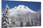 winter snow adds beauty to Mt. Hood, Oregon. Oregon Cascades. by Anonymous