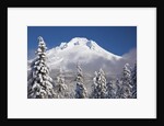 winter snow adds beauty to Mt. Hood, Oregon. Oregon Cascades. by Anonymous