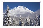 winter snow adds beauty to Mt. Hood, Oregon. Oregon Cascades. by Anonymous