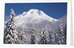 winter snow adds beauty to Mt. Hood, Oregon. Oregon Cascades. by Anonymous